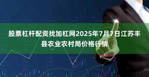 股票杠杆配资找加杠网2025年7月7日江苏丰县农业农村局价格行情