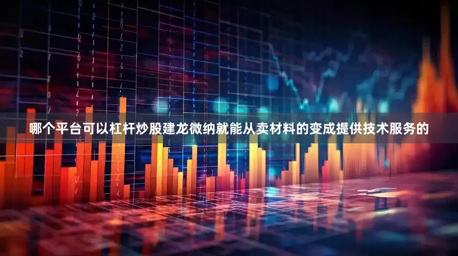 哪个平台可以杠杆炒股建龙微纳就能从卖材料的变成提供技术服务的