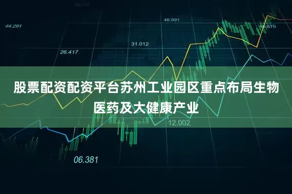 股票配资配资平台苏州工业园区重点布局生物医药及大健康产业
