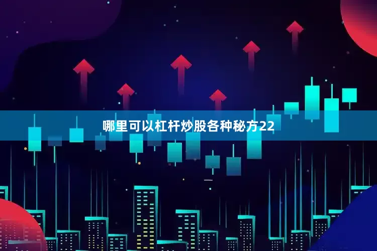 哪里可以杠杆炒股各种秘方22