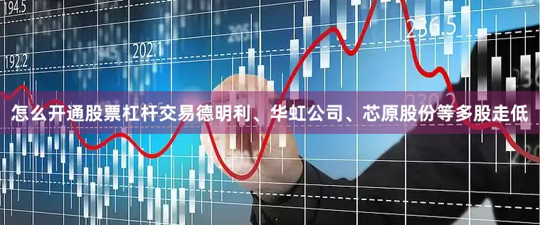 怎么开通股票杠杆交易德明利、华虹公司、芯原股份等多股走低